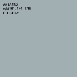 #A1AEB2 - Hit Gray Color Image